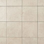 Porcea Seashell Porcelain Paver
